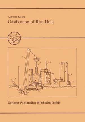 Gasification of Rice Hulls: Theory and Praxis de Albrecht Kaupp