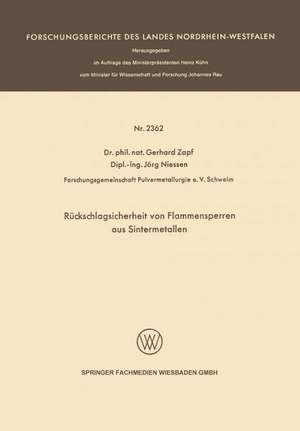 Rückschlagsicherheit von Flammensperren aus Sintermetallen de Gerhard Zapf