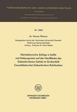 Kleintektonische Gefüge in Kohle und Nebengestein auf der Nordflanke des Gelsenkirchener-Sattels im Grubenfeld Consolidation bei Gelsenkirchen/Ruhrkarbon de Werner Pfisterer