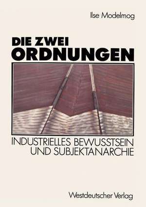 Die zwei Ordnungen: Industrielles Bewußtsein und Subjektanarchie de Ilse Dröge-Modelmog