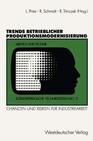 Trends betrieblicher Produktionsmodernisierung: Chancen und Risiken für Industriearbeit. Expertenberichte aus sieben Branchen de Ludger Pries