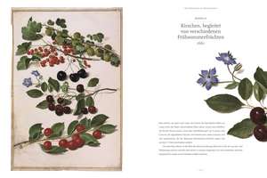 Das Florilegium von Nassau-Idstein de Laure Beaumont-Maillet