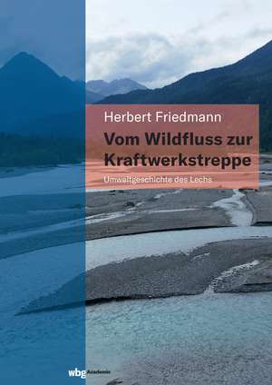 Vom Wildfluss zur Kraftwerkstreppe de Herbert Friedmann