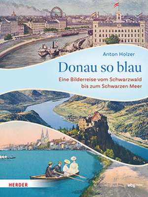 Donau so blau de Anton Holzer
