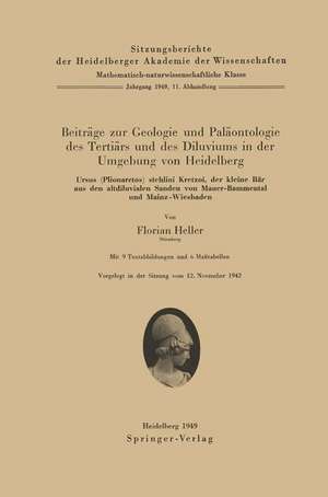 Beiträge zur Geologie und Paläontologie des Tertiärs und des Diluviums in der Umgebung von Heidelberg: Ursus (Plionarctos) stehlini Kretzoi, der kleine Bär aus den altdiluvialen Sanden von Mauer-Bammental und Mainz-Wiesbaden de F. Heller