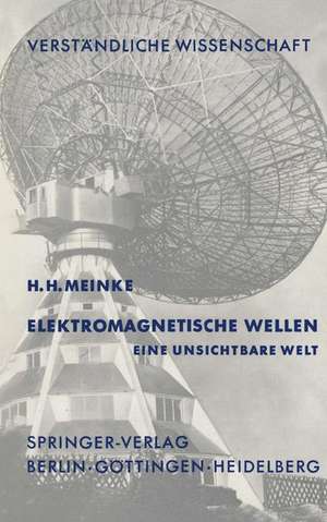 Elektromagnetische Wellen: Eine Unsichtbare Welt de H.H. Meinke