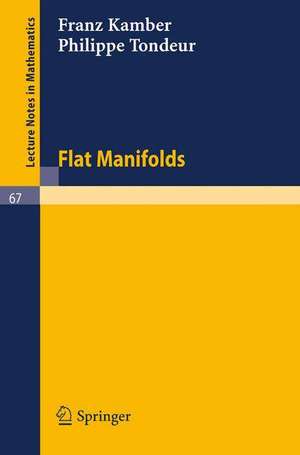 Flat Manifolds de Franz Kamber