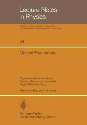 Critical Phenomena: Sitges International School on Statistical Mechanics, June 1976 Sitges, Barcelona/Spain de L. Garrido