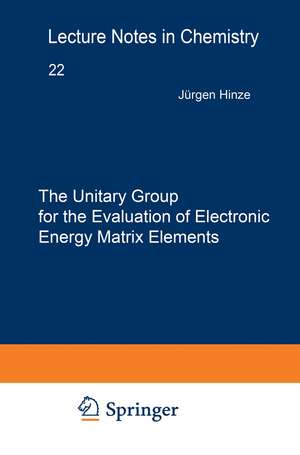 The Unitary Group for the Evaluation of Electronic Energy Matrix Elements: Unitary Group Workshop 1979 de Jürgen Hinze