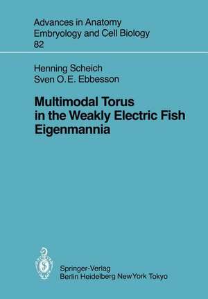 Multimodal Torus in the Weakly Electric Fish Eigenmannia de Henning Scheich