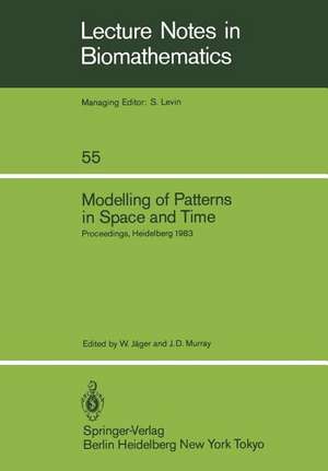 Modelling of Patterns in Space and Time: Proceedings of a Workshop held by the Sonderforschungsbereich 123 at Heidelberg July 4–8, 1983 de W. Jäger