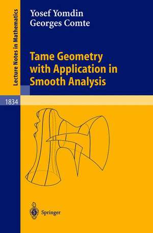 Tame Geometry with Application in Smooth Analysis de Yosef Yomdin