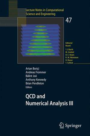 QCD and Numerical Analysis III: Proceedings of the Third International Workshop on Numerical Analysis and Lattice QCD, Edinburgh, June-July 2003 de Artan Boriçi