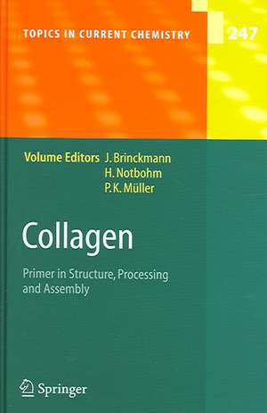 Collagen: Primer in Structure, Processing and Assembly de Jürgen Brinckmann