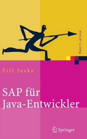 SAP für Java-Entwickler: Konzepte, Schnittstellen, Technologien de Till Jeske