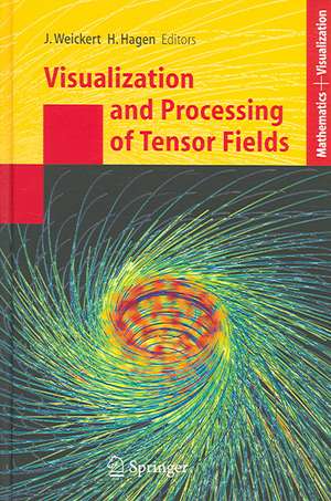 Visualization and Processing of Tensor Fields de Joachim Weickert