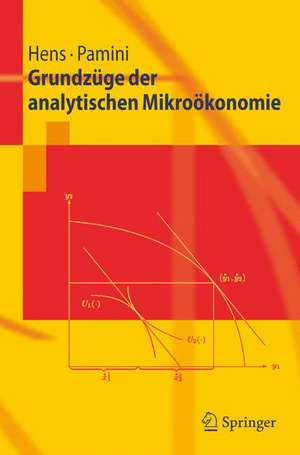 Grundzüge der analytischen Mikroökonomie de Thorsten Hens