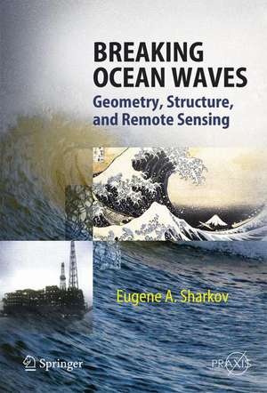 Breaking Ocean Waves: Geometry, Structure and Remote Sensing de Eugene A. Sharkov