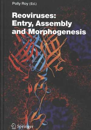 Reoviruses: Entry, Assembly and Morphogenesis de Polly Roy