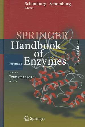 Class 2 Transferases I: EC 2.1.1 de Antje Chang