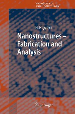 Nanostructures: Fabrication and Analysis de Hitoshi Nejo