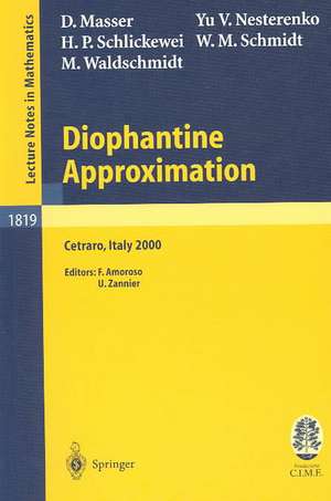 Diophantine Approximation: Lectures given at the C.I.M.E. Summer School held in Cetraro, Italy, June 28 – July 6, 2000 de David Masser