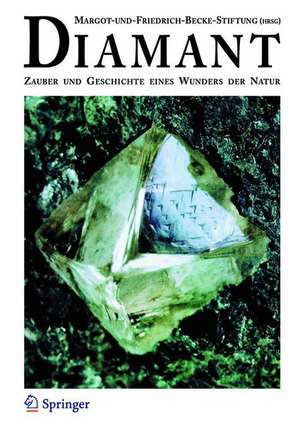 Diamant: Zauber und Geschichte eines Wunders der Natur de Alois Haas