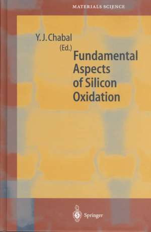 Fundamental Aspects of Silicon Oxidation de Yves J. Chabal