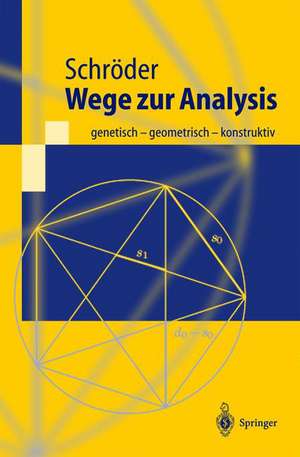 Wege zur Analysis: genetisch - geometrisch - konstruktiv de Herbert Schröder