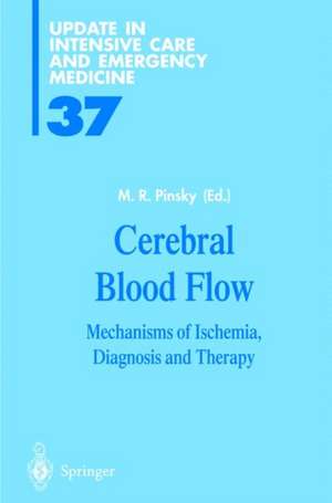 Cerebral Blood Flow de Pinsky, M. R.