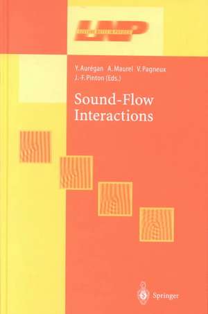 Sound-Flow Interactions de Y. Auregan