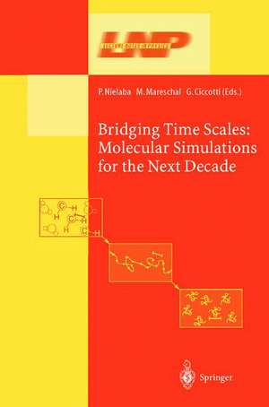 Bridging the Time Scales: Molecular Simulations for the Next Decade de Peter Nielaba