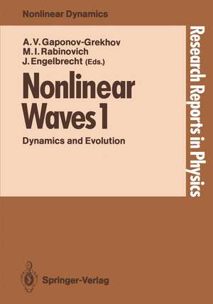 Nonlinear Waves 1: Dynamics and Evolution de Andrei V. Gaponov-Grekhov