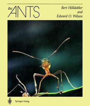 The Ants de Bert Hölldobler