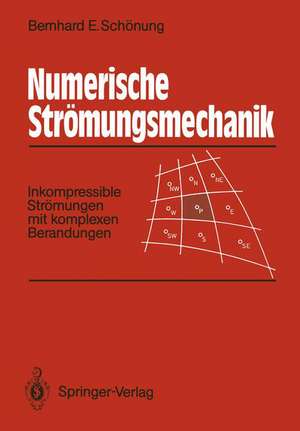 Numerische Strömungsmechanik: Inkompressible Strömungen mit komplexen Berandungen de Bernhard E. Schönung