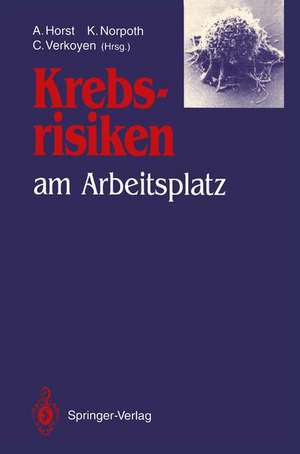 Krebsrisiken am Arbeitsplatz: Beiträge und Ergebnisse zum gleichlautenden Workshop im Rahmen des Programms „Arbeit und Technik“ am 13. und 14. Dezember 1990 im Bundesministerium für Forschung und Technologie in Bonn de A. Horst