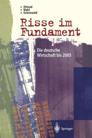 Risse im Fundament: Die deutsche Wirtschaft bis 2005 de Adrian Ottnad