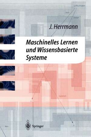 Maschinelles Lernen und Wissensbasierte Systeme: Systematische Einführung mit praxisorientierten Fallstudien de Jürgen Herrmann