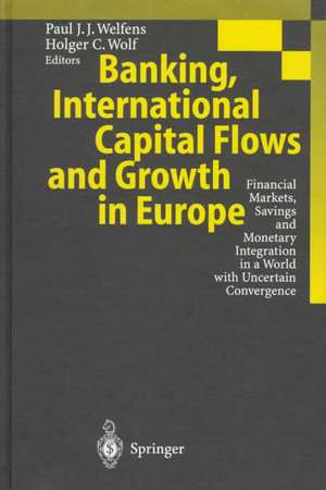 Banking, International Capital Flows and Growth in Europe: Financial Markets, Savings and Monetary Integration in a World with Uncertain Convergence de Paul J.J. Welfens