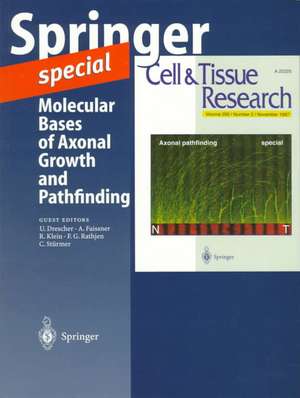 Molecular Bases of Axonal Growth and Pathfinding de U. Drescher