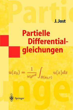 Partielle Differentialgleichungen: Elliptische (und parabolische) Gleichungen de Jürgen Jost