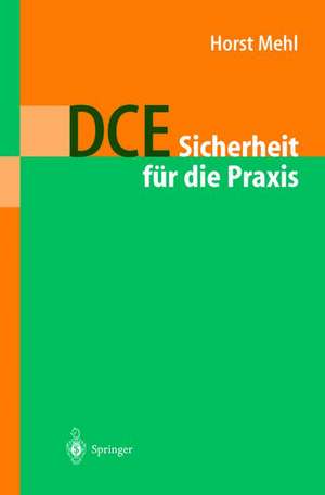 DCE: Sicherheit für die Praxis de Horst Mehl