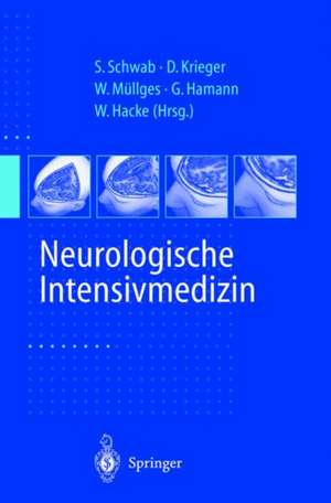 Neurologische Intensivmedizin