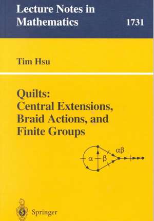 Quilts: Central Extensions, Braid Actions, and Finite Groups de Tim Hsu