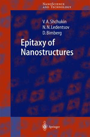 Epitaxy of Nanostructures de Vitaly Shchukin