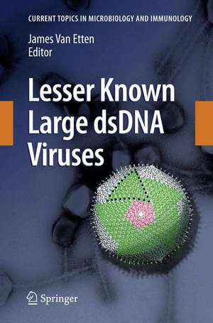 Lesser Known Large dsDNA Viruses de James L. van Etten