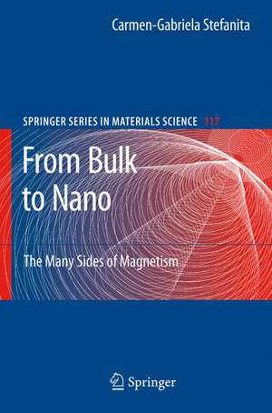 From Bulk to Nano: The Many Sides of Magnetism de Carmen-Gabriela Stefanita