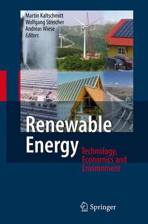 Renewable Energy: Technology, Economics and Environment de Martin Kaltschmitt