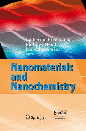 Nanomaterials and Nanochemistry de C. Bréchignac