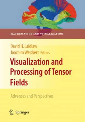 Visualization and Processing of Tensor Fields: Advances and Perspectives de David H. Laidlaw